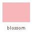 blossom_1083640495.jpg